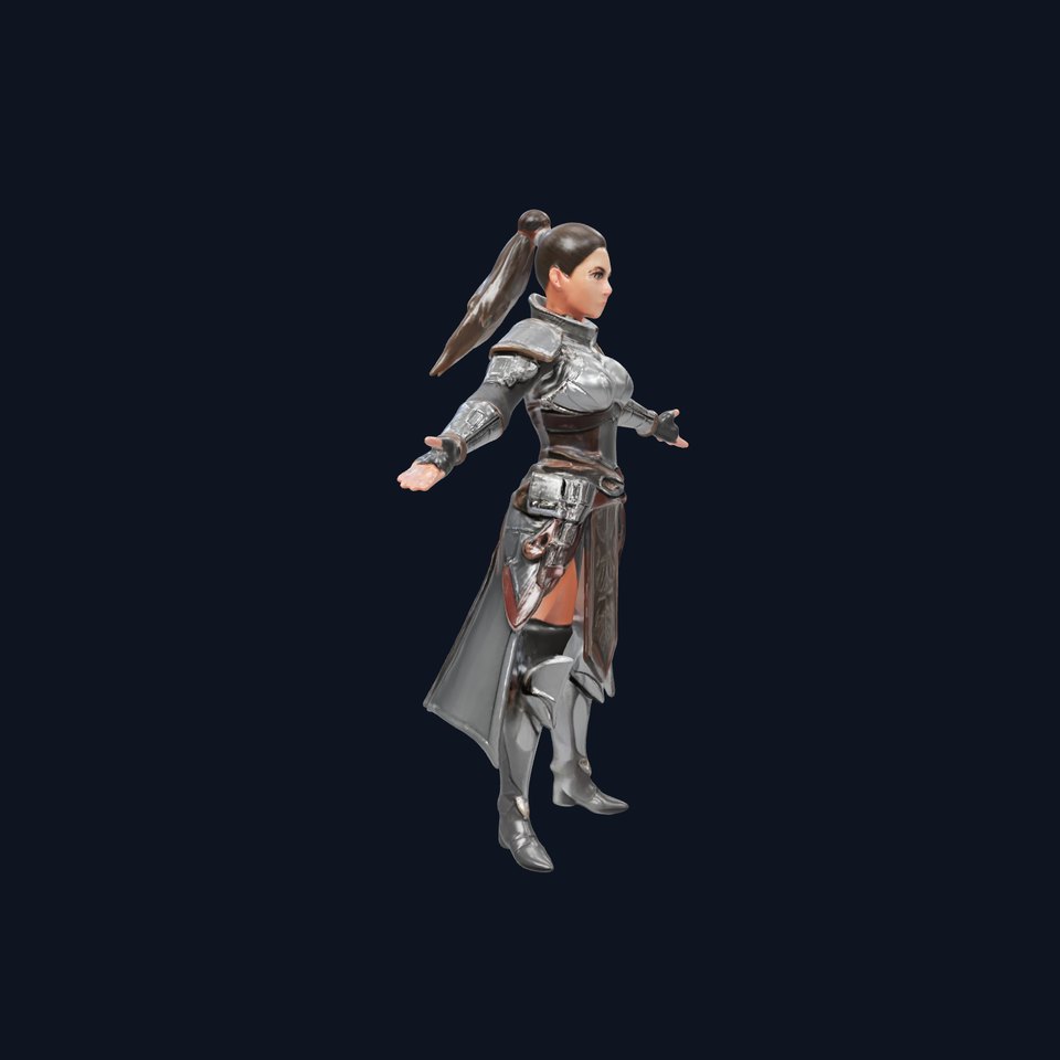 Armored Warrior Princess Rigged and Animated D Model